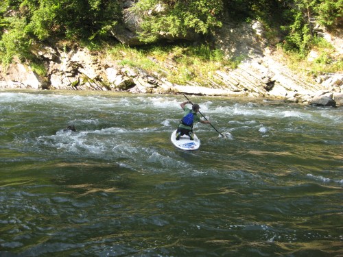 Playing in the fast water below the falls.