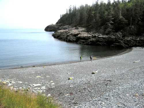 Swim if you dare - the water was about 55 degrees.