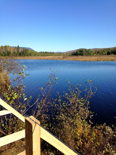 Stratton Brook Pond