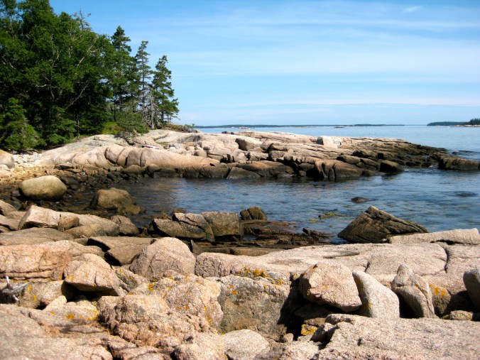 Typical Great Wass scenery