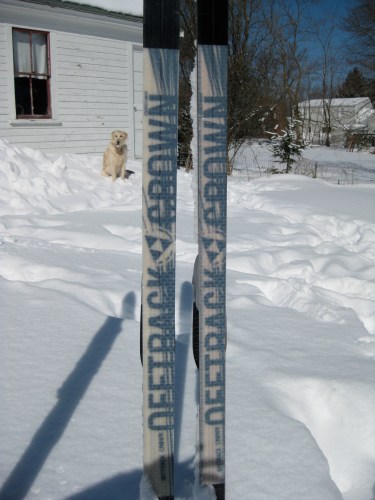 Fischer Offtrack Crown Waxless Base