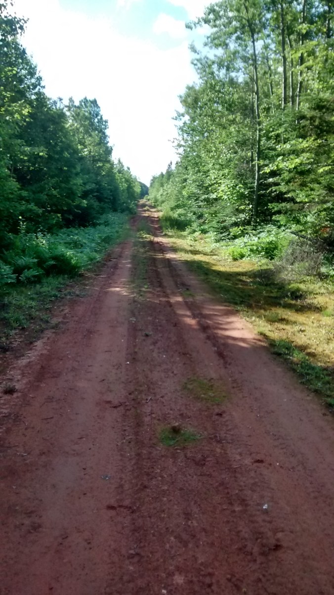 Prince Edward Island dirt road