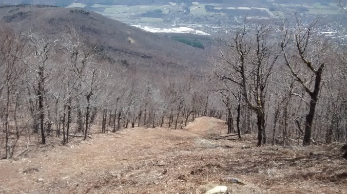 Thunderbolt Ski Trail, Mt. Greylock. Massachusetts AT section hike.